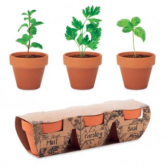 Kit de plantation dans pot en terre cuite promotionnel - 3 pots - FLOWERPOT