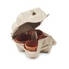 Kit De Plantation Dans Pot En Terre Cuite 4 Pots CRESS Ouvert