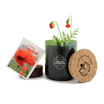 Kit De Plantation Dans Pot En Bouteille Recyclée Avec Couvercle En Liège RECY Avec Sachets Graines De Coquelicot