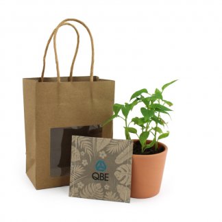 Kit de plantation publicitaire dans sac kraft - KRAFA