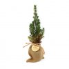 Sapin Dans Pochon Jute WINTER Photo Principale