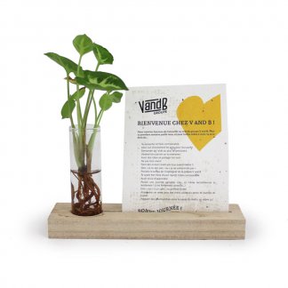 Support bois vase floral publicitaire avec papier à graines - ZAMIO