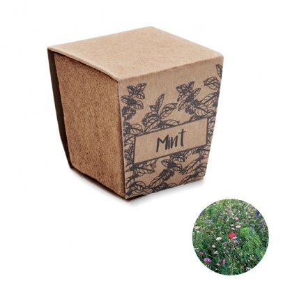 Kit De Plantation Graines De Menthe MINT KIT. Avec Photo Menthe